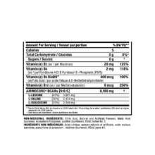 Charger l&#39;image dans la galerie, Aminocore BCAA - 945 g, 90 portions - AllMax Nutrition
